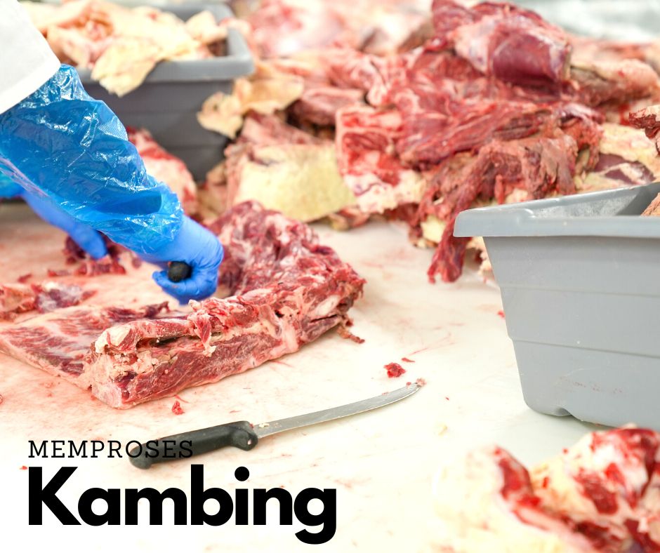 kambingaqiqahmy-Kambing-Qurban-Korban-Proses-Potong-Untuk-Acara-Majlis