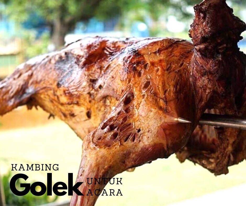 kambingaqiqahmy-Kambing-Golek-Untuk-Acara